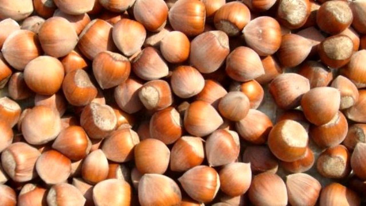 Ufk\'dan \'Rekolte\' Teklifi