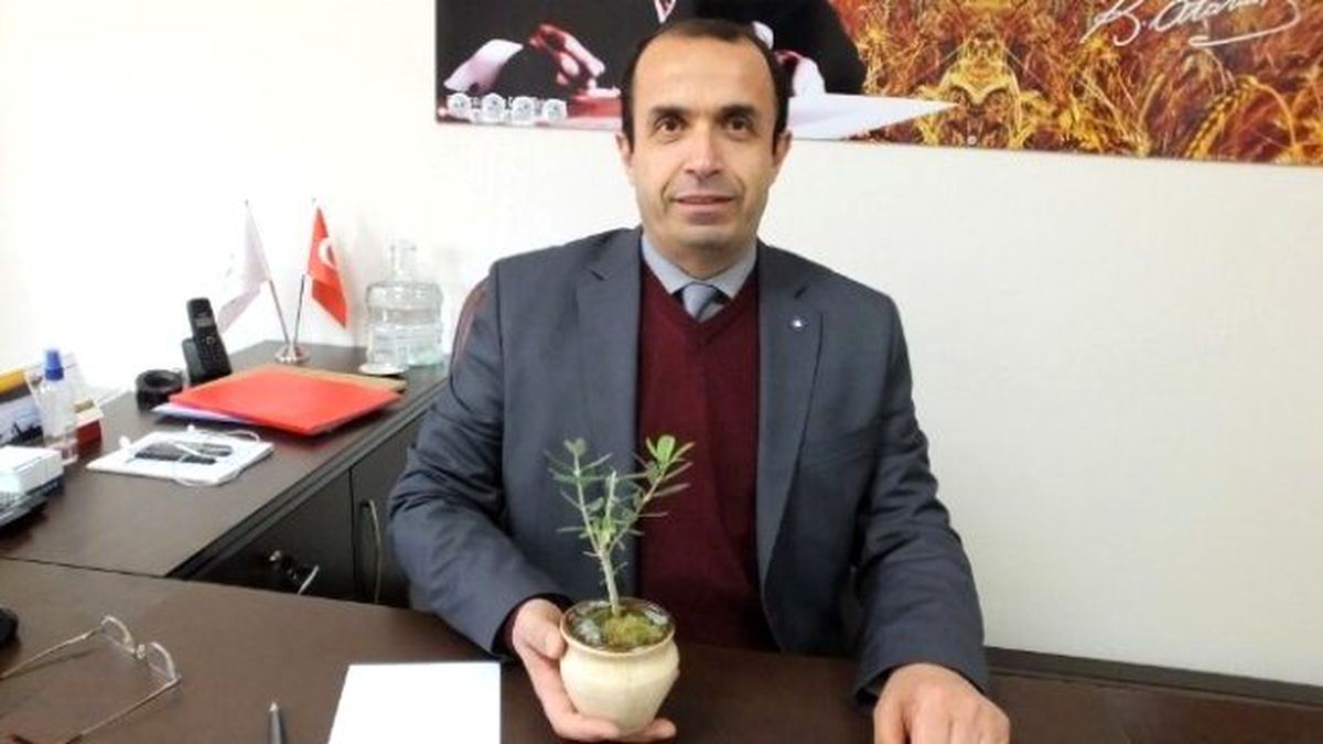 Burhaniye\'de Zeytinyağı Ortak Akıl Toplantısı Yapılacak