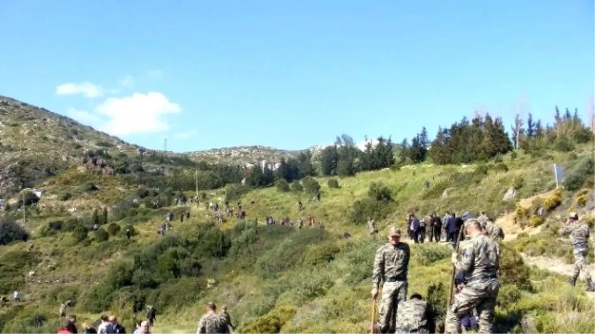 Datça\'da Canca ve Cebeci Adına Hatıra Ormanı Oluşturuldu