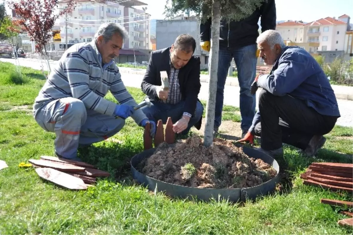 Ağaçlar ve Refüjler Bahara Hazırlanıyor