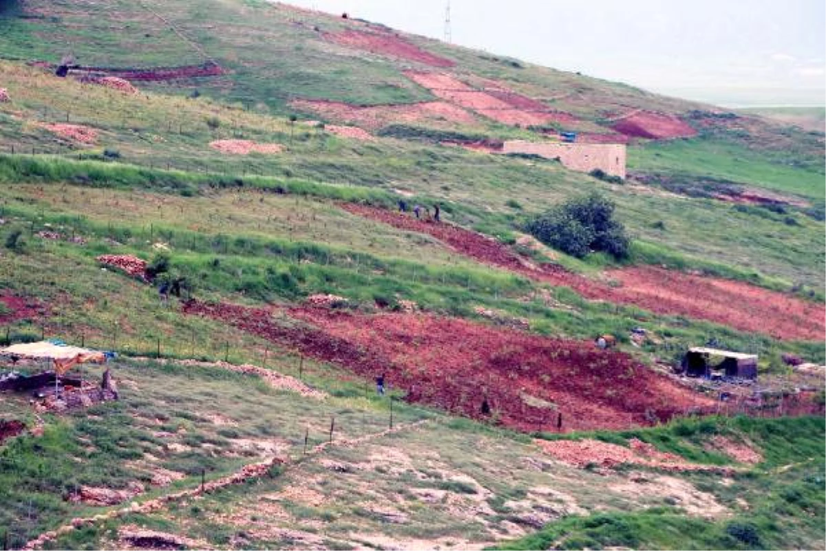 Cudi Dağı\'nın Bir Tarafında Kış, Diğer Tarafında Bahar Mevsimi Yaşanıyor