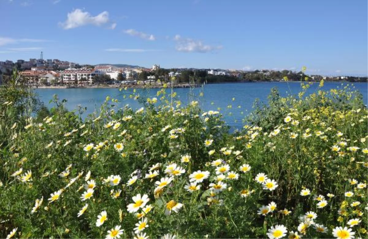 Datça\'da Bahar Renkleri