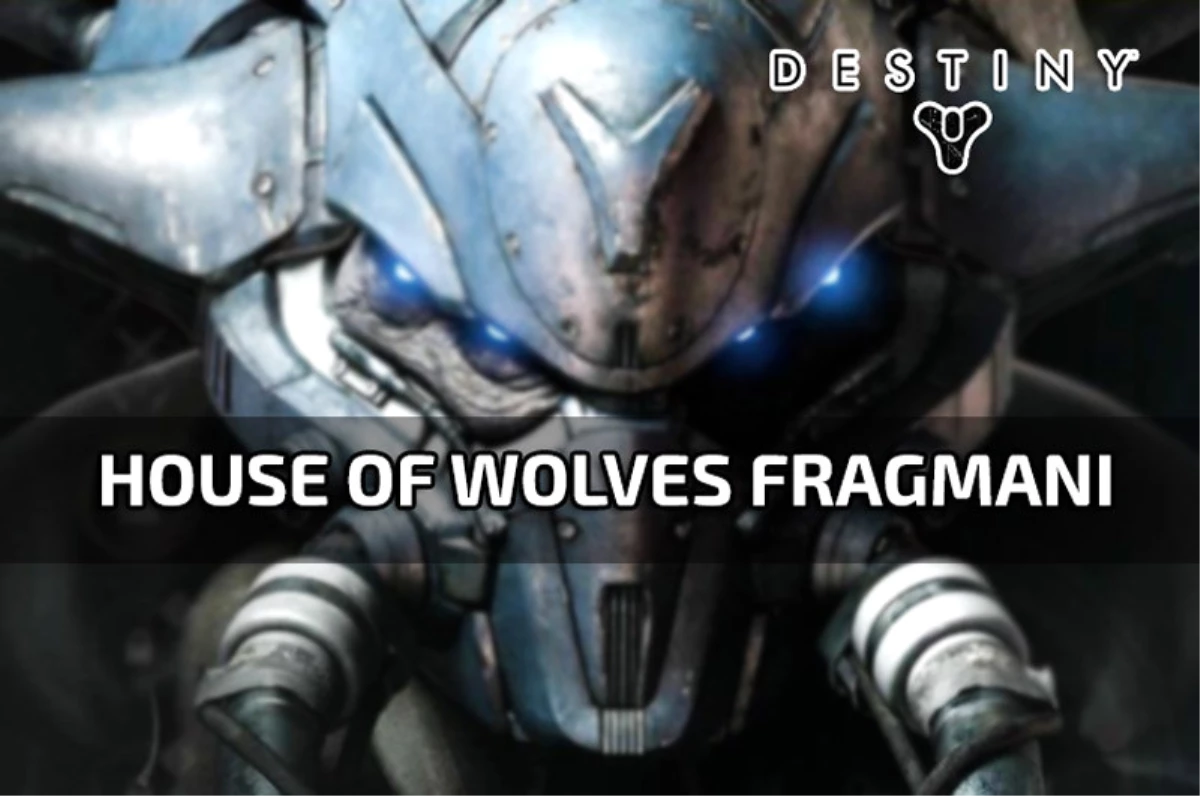 Destiny House Of Wolves Çıkış Tarihi