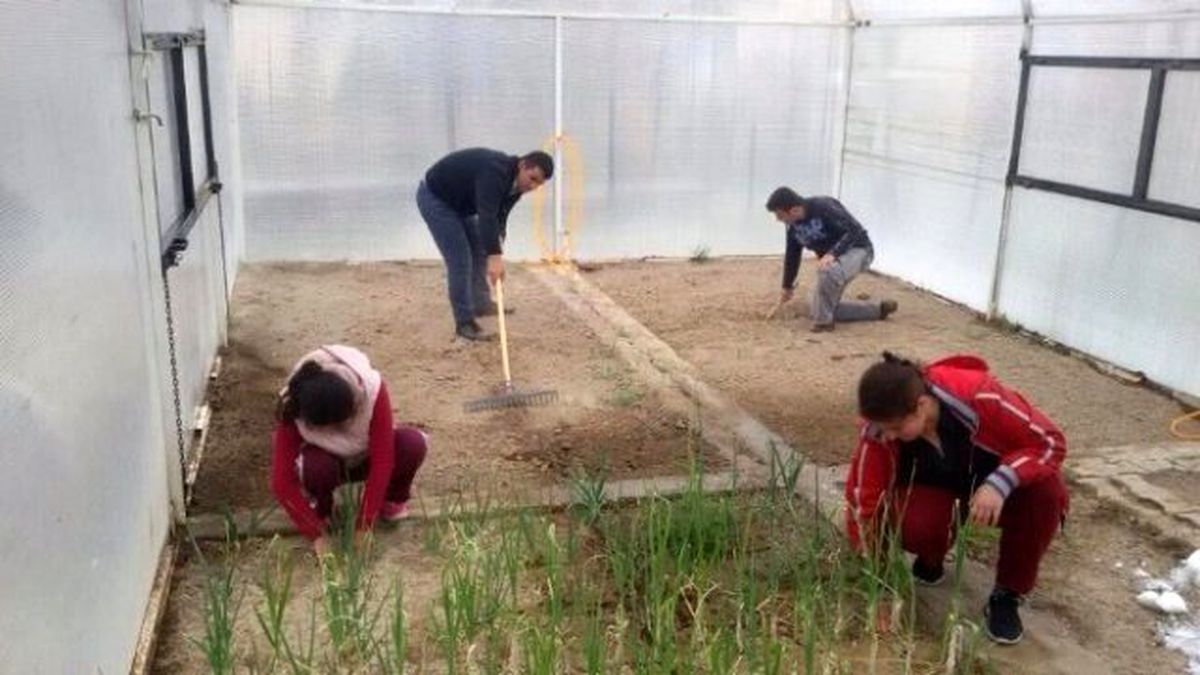 Engelli Öğrenciler İçin Kurulan Sera Faaliyete Geçti