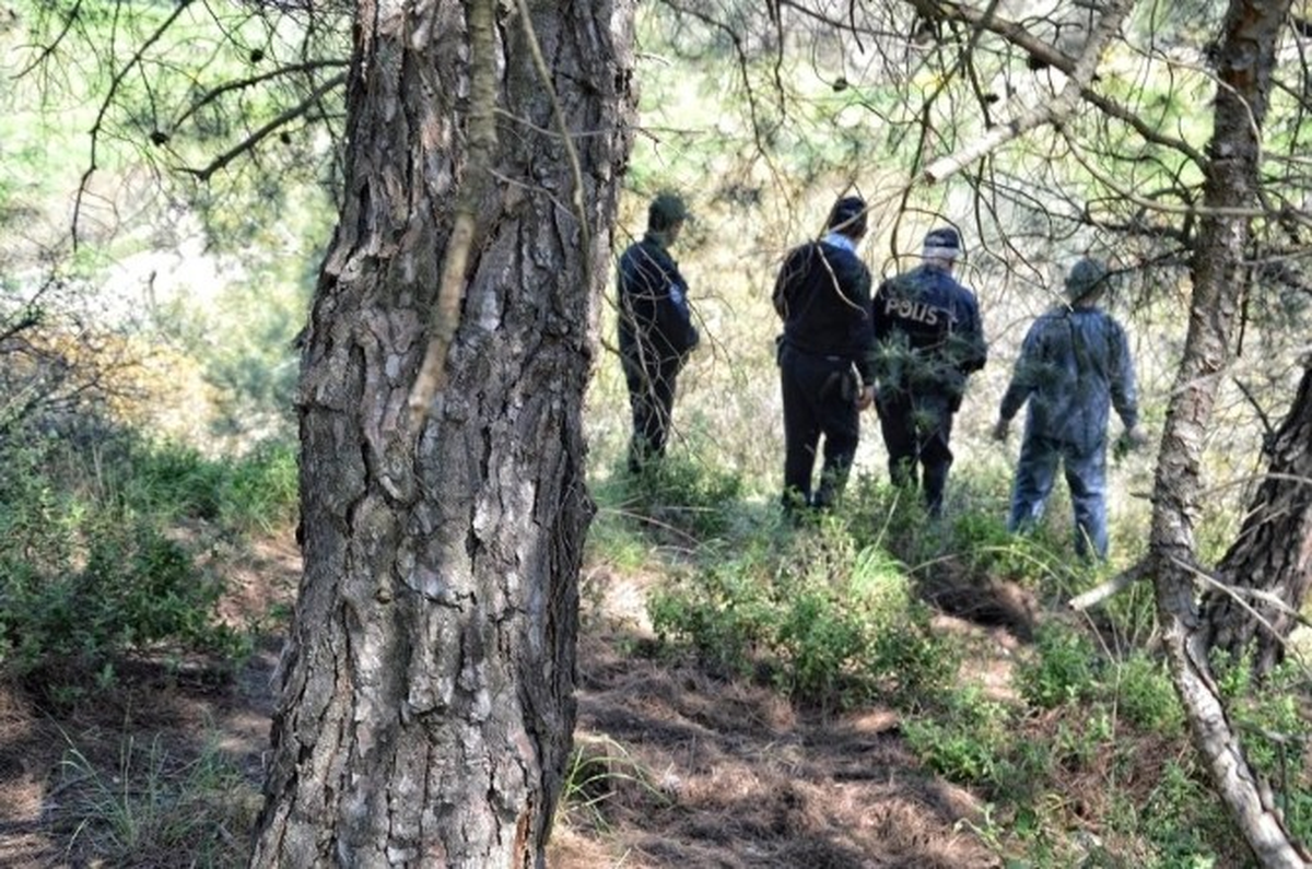 Manisa\'da Ormanlık Alanda G3 Mermisi Bulundu