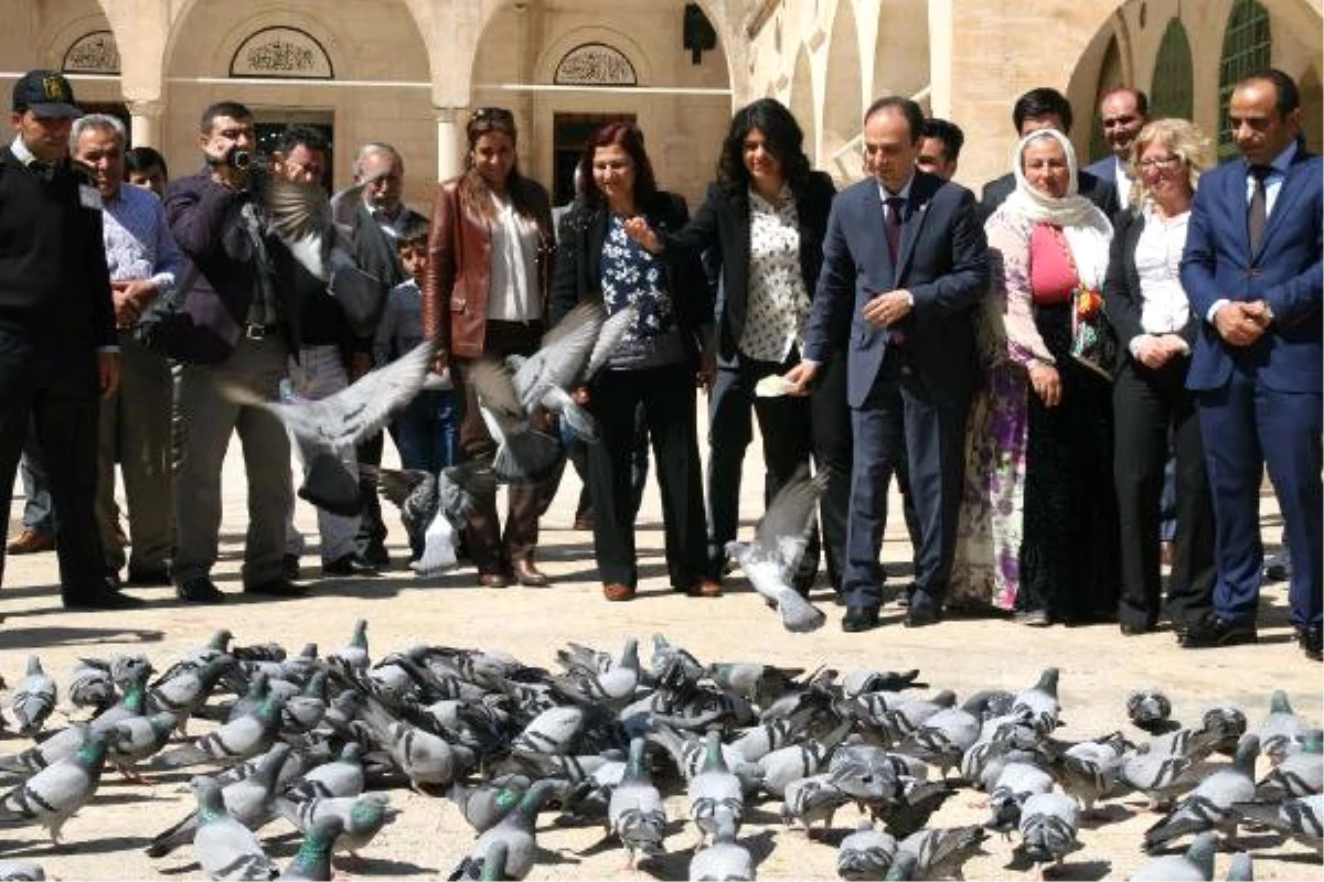 Şanlıurfa\'da HDP Adayları Dualarla Seçim Çalışmasına Başladı