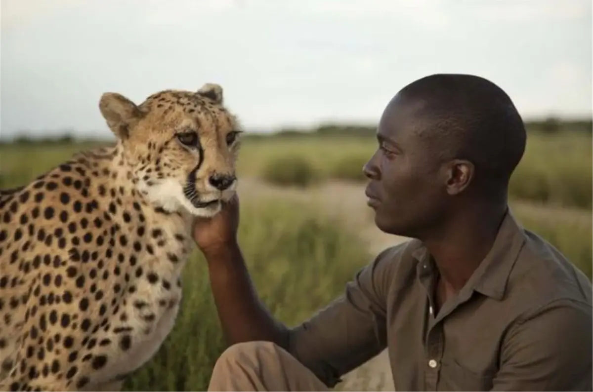 BBC Earth Küresel Yayın Ağına Türkiye\'yi Dahil Etti