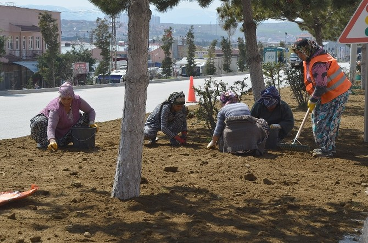 Bozüyük\'te Yeşil Alanlar Bahara Hazırlanıyor