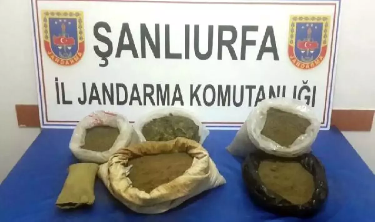 Şanlıurfa\'da 11 Kilo Esrara 2 Gözaltı