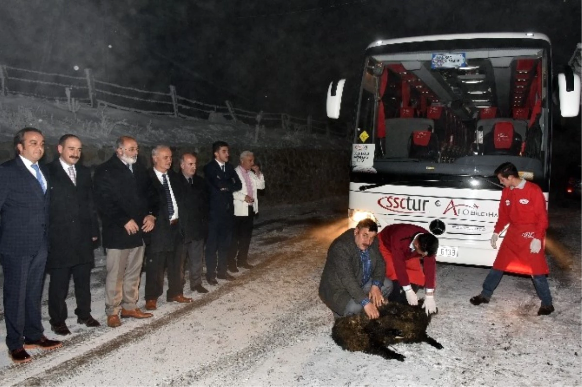 Zigana\'da İlk Turist Kafilesi İçin Kurban Kesildi