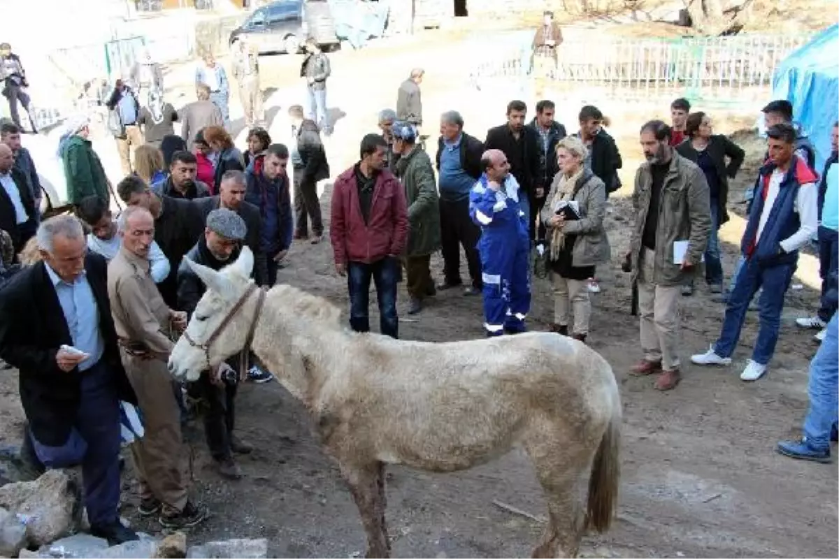 CHP\'li Onur ile Haytap Üyeleri, Vurulan Katırlar İçin Şırnak\'ta