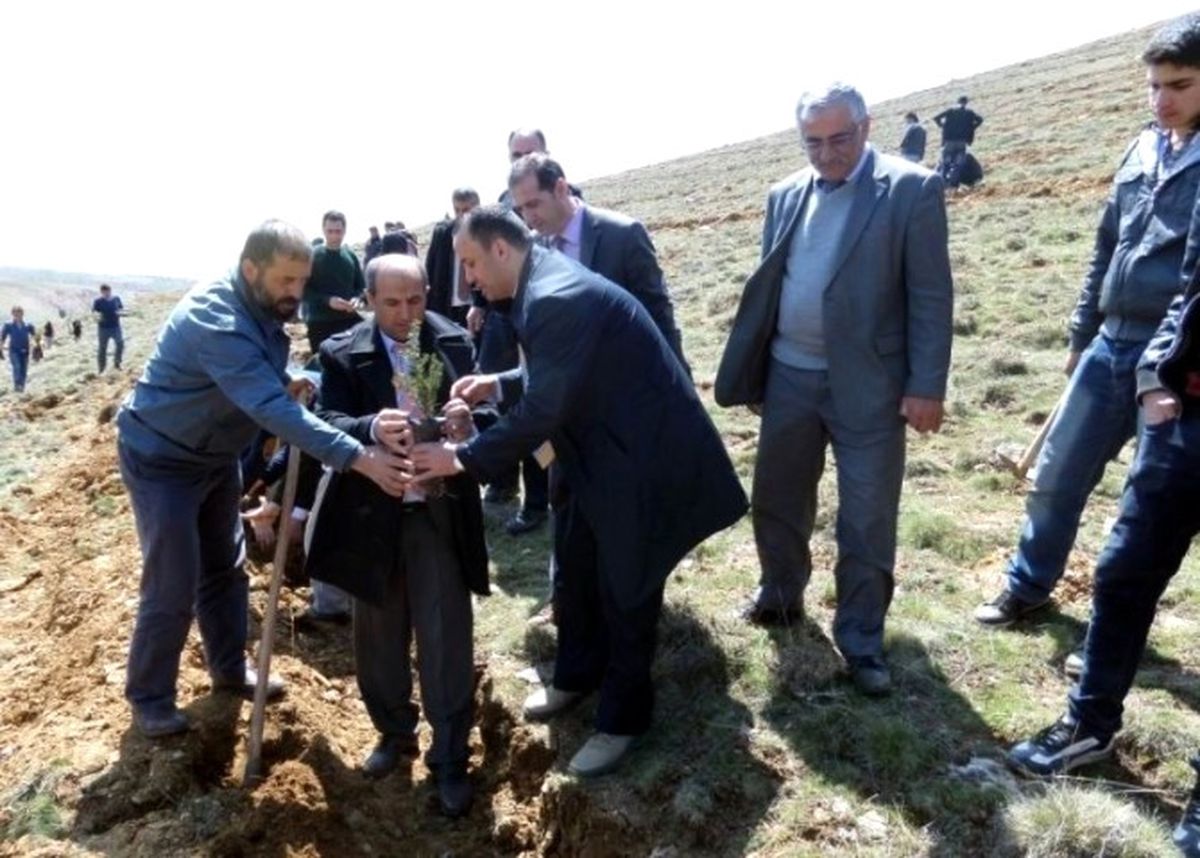 Hüyük\'te 3 Bin Fidan Toprakla Buluşturuldu