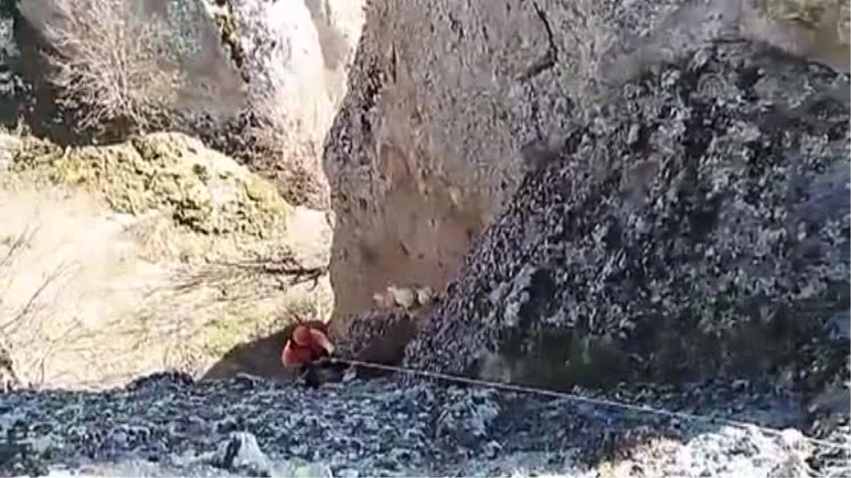 Kayalıkta Kalan Keçilere Afad Operasyonu