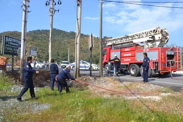 Kopan Yüksek Gerilim Hattı Teli Korkuttu - Son Dakika