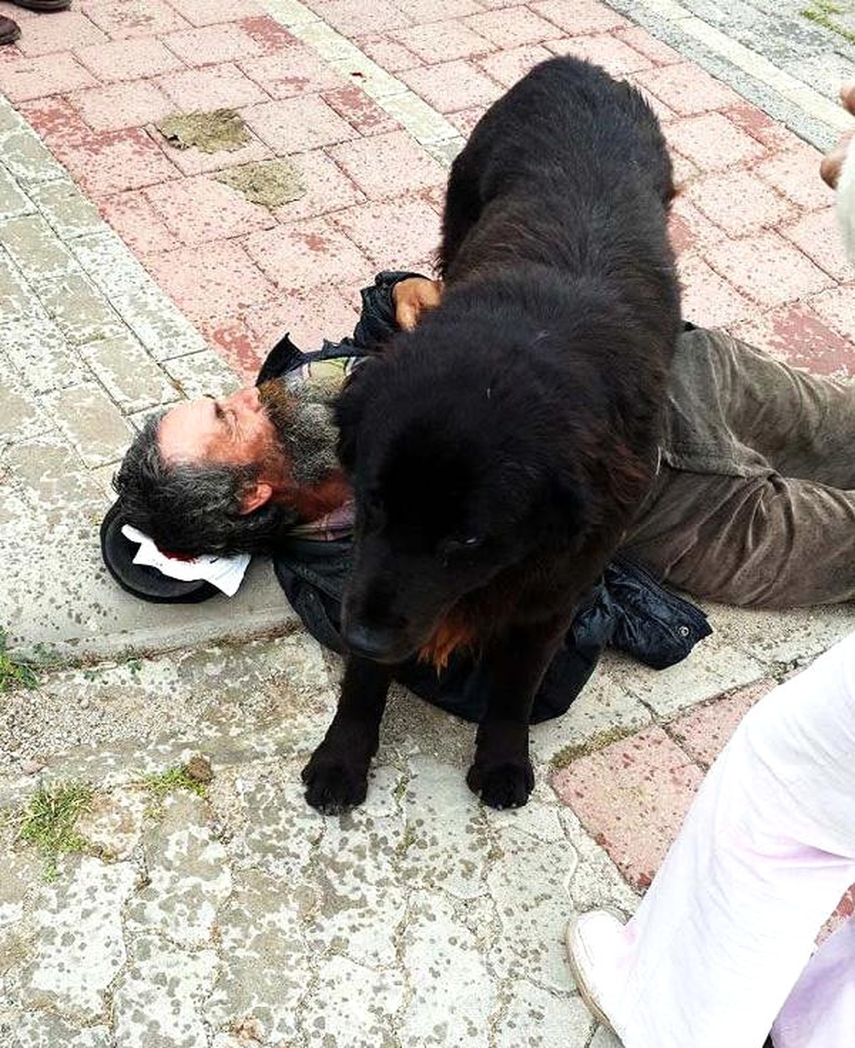 Köpeği \'Yaren\' Bir An Olsun Yanından Ayrılmıyor