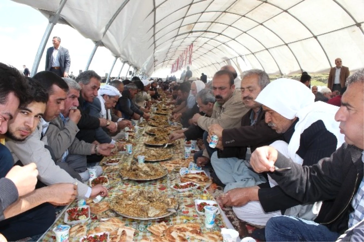 Kutlu Doğum Yemeğine Yoğun İlgi