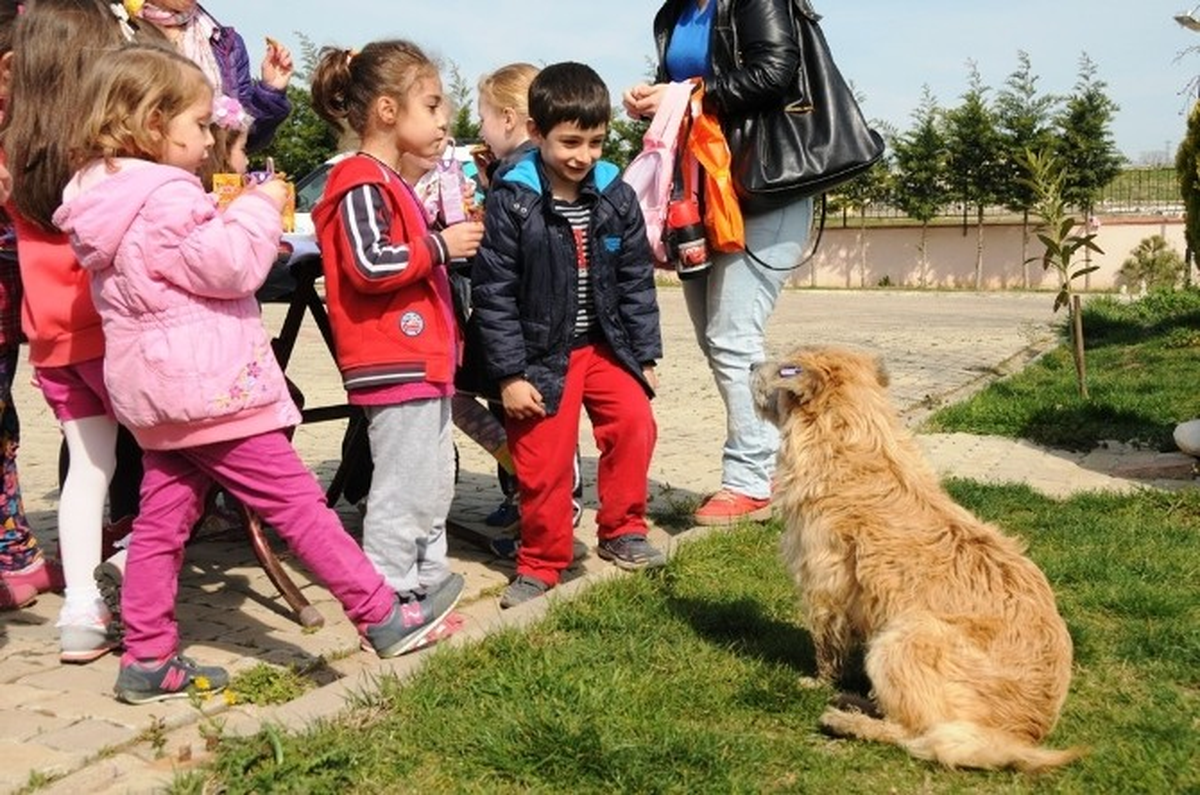 Minik Öğrenciler Geçici Bakımevindeki Hayvanlarla Dost Oldu