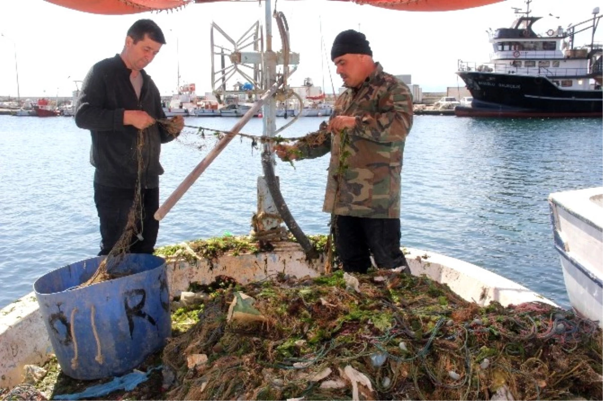 Sinoplu Balıkçılar: "Bilinçli Avlanmazsak Bu Günleri Ararız"