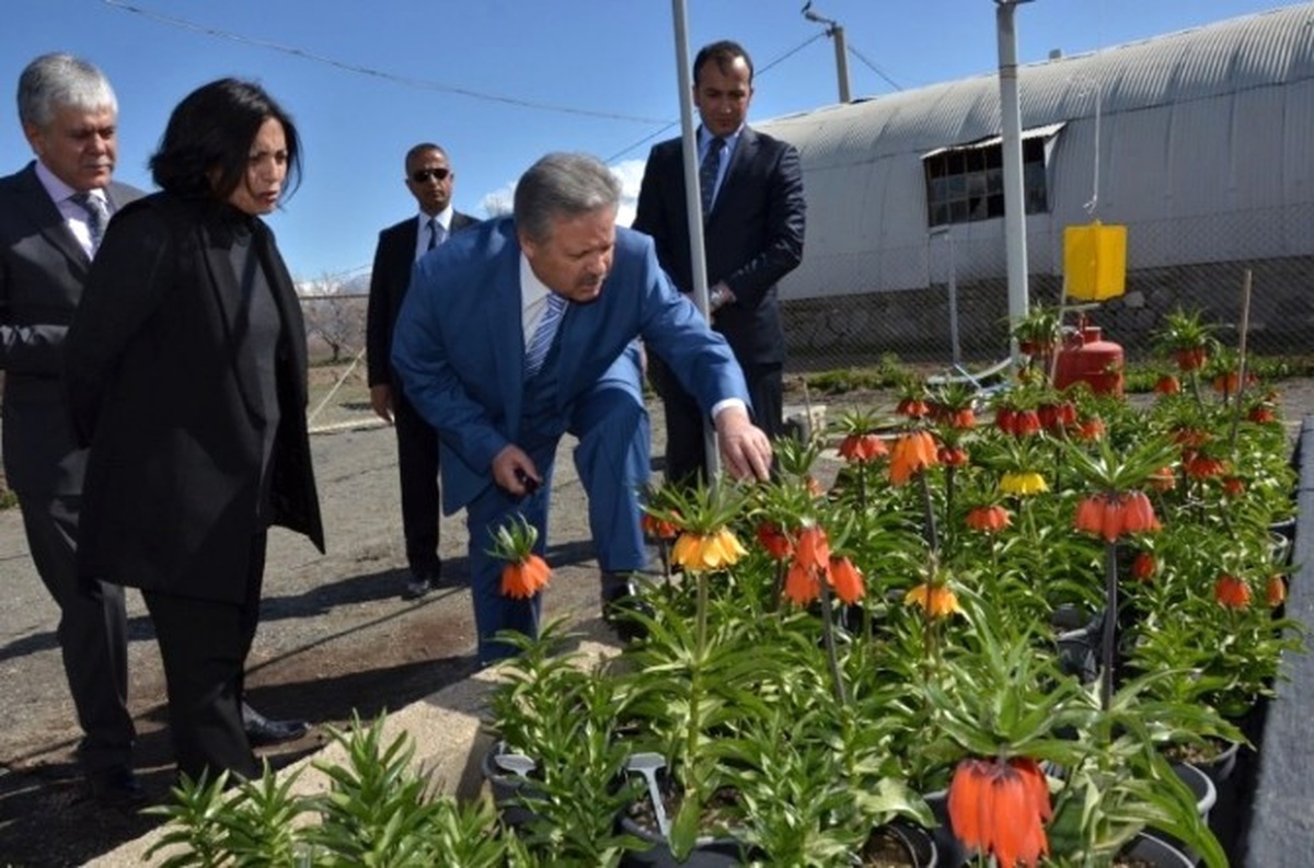 Ters Lale Denilince Akla Gelen İlk Şehir Erzincan Olacak