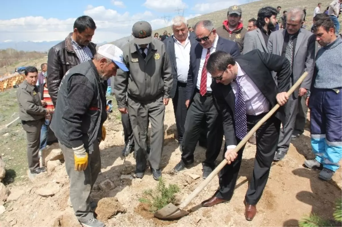 Yahyalı\'dan Kutlu Doğum Haftası Hatıra Ormanı