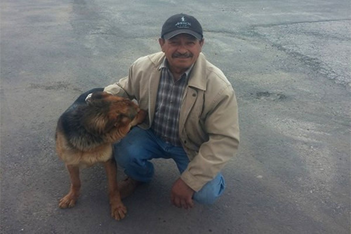 66 Köpek Sahiplendirildi