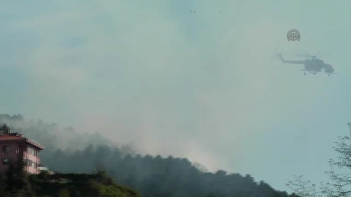 Beykoz\'da Ormanlık Alanda Yangın