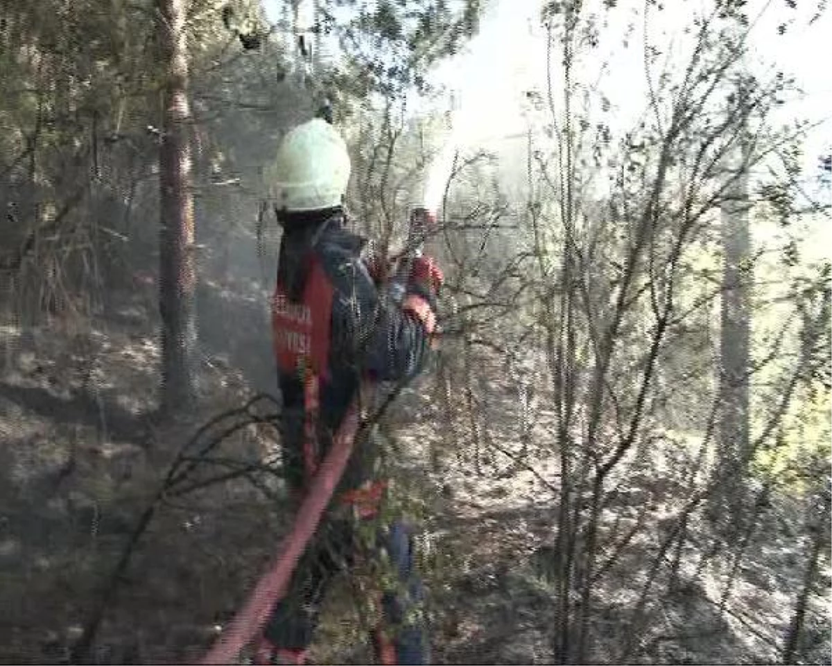 Beykoz\'daki Orman Yangını 1 Saatte Kontrol Altına Alındı