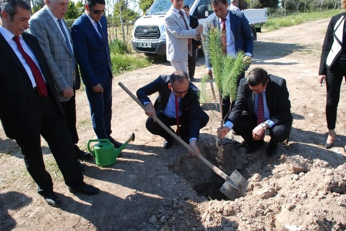 Didim\'de 400 Çam Fidanı Toprakla Buluştu