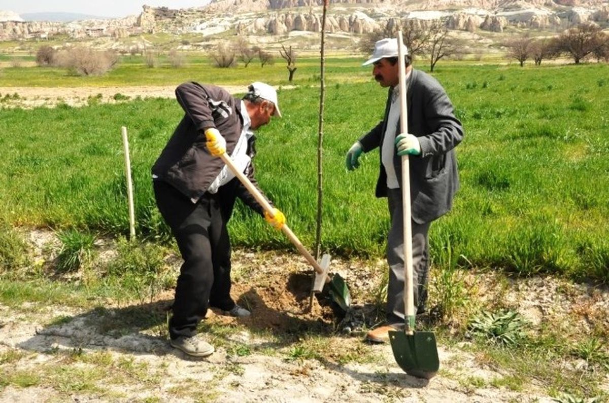 Göreme\'de Ağaçlandırma Çalışmaları