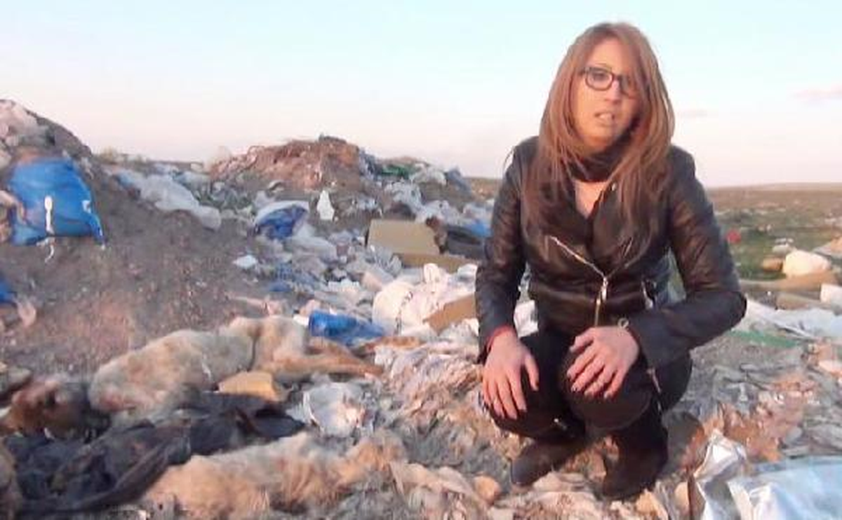 Karaman Belediyesi\'ne Köpek İtlafı Suçlaması