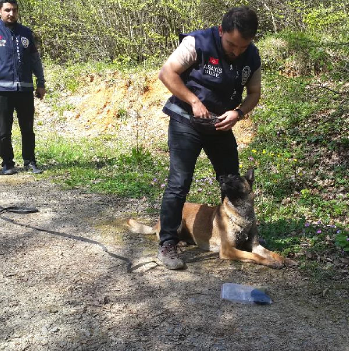 Kayıp Kişileri Artık "Tim" Bulacak