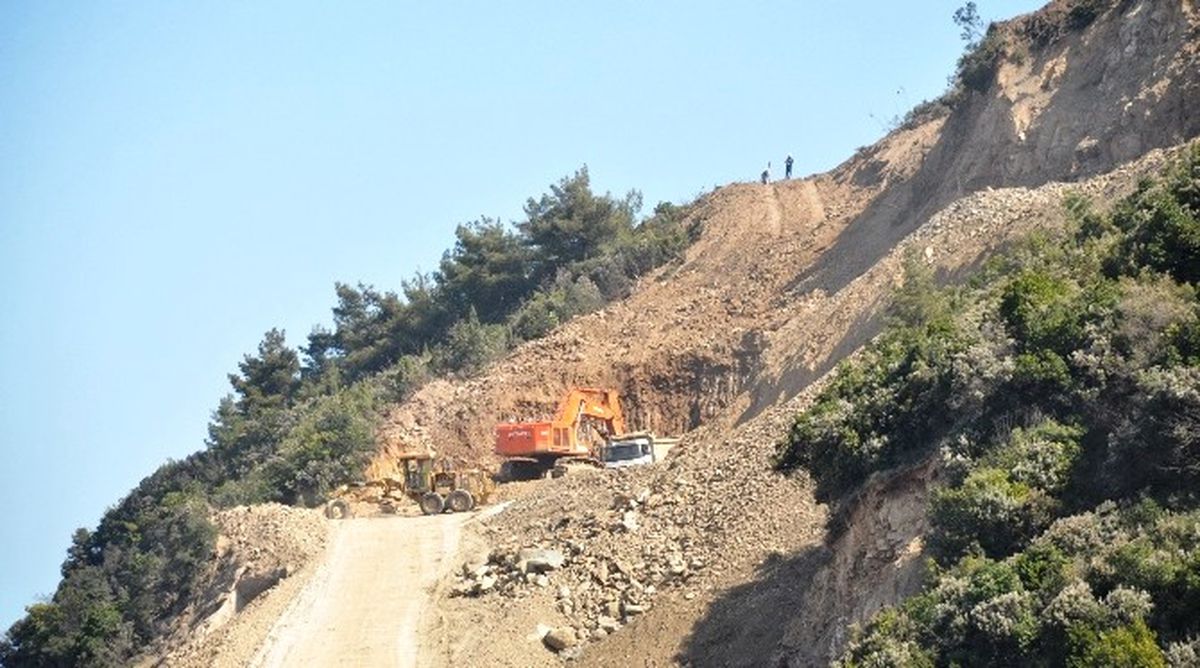 Kömür Stok Alanı İçin Ağaç Katliamı İddiası