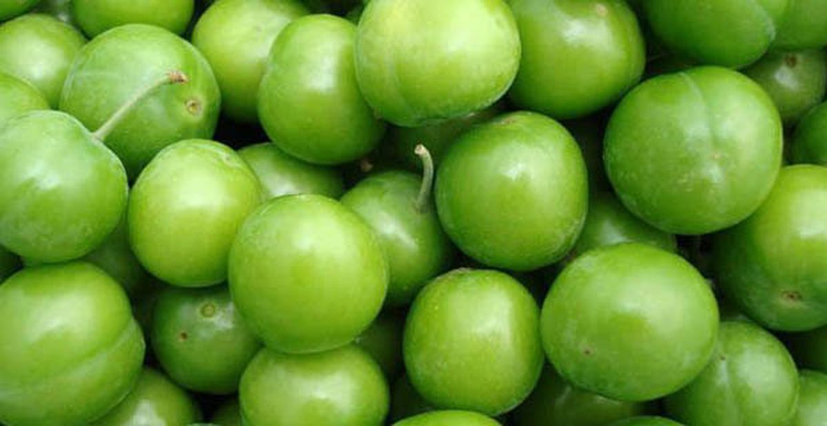 Eriğin Kilogramı 8 Liraya Kadar Düştü