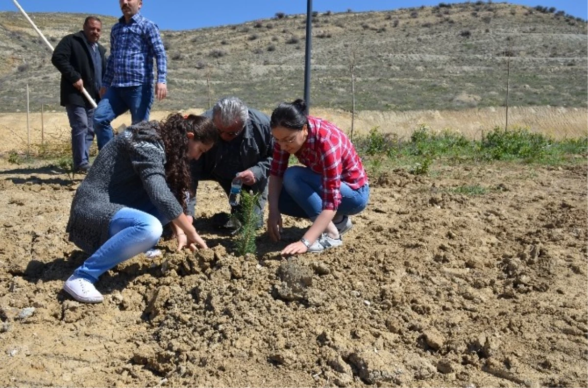 Üniversite Öğrencileri Arkalarında Birer Dikili Ağaç Bıraktılar