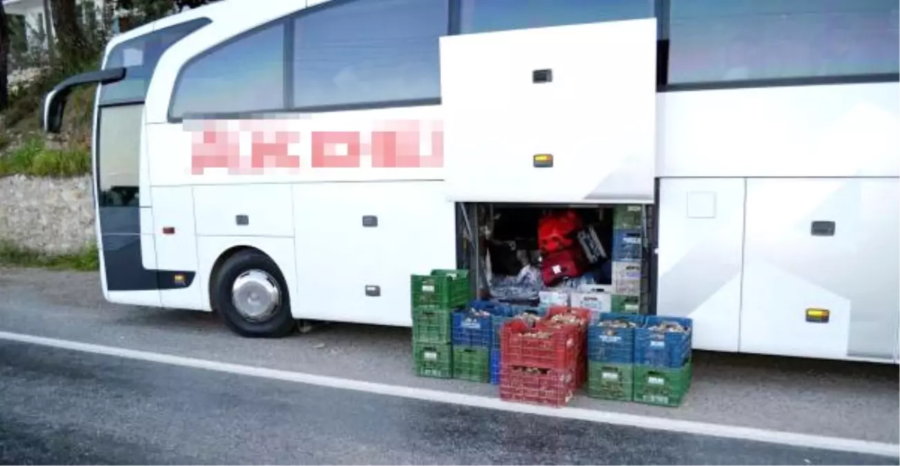 200 Kilo Kuzugöbeği Mantarına El Konuldu