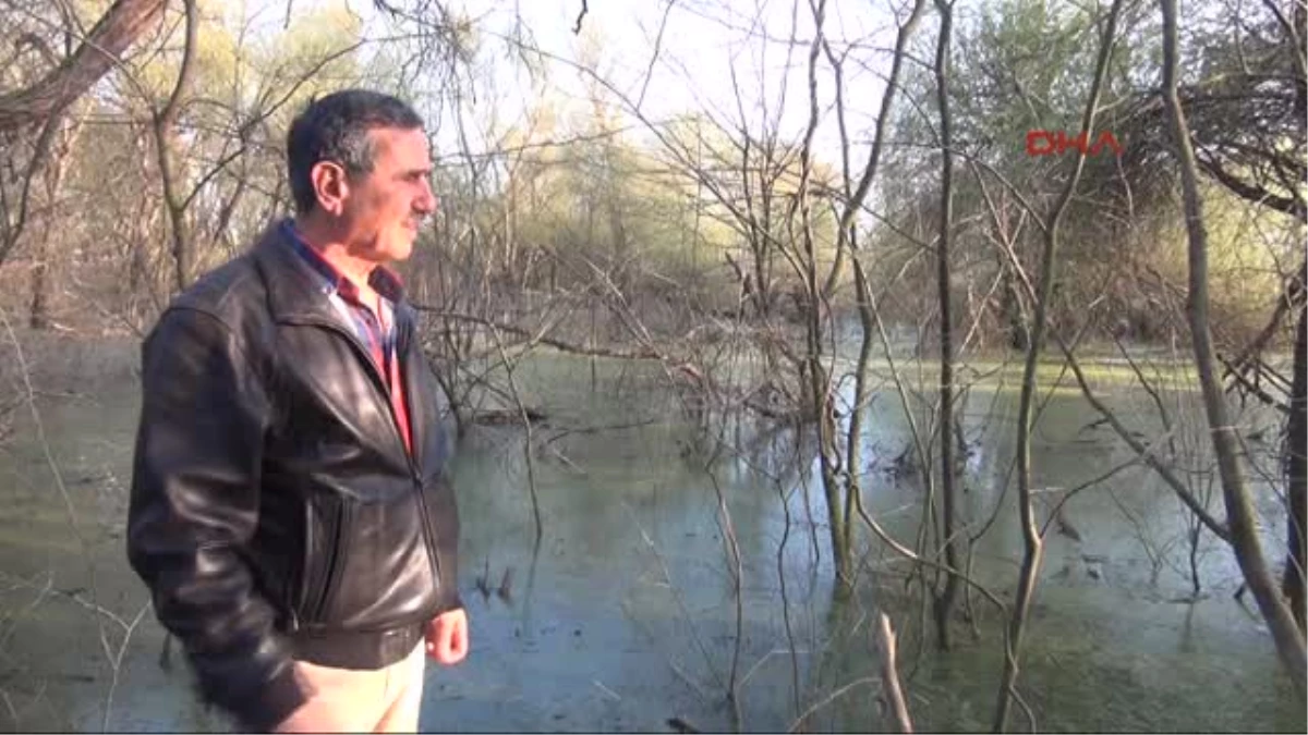 Bandırma Baraj Kapakları Açılınca Kuşcenneti Milli Parkı Sular Altında Kaldı