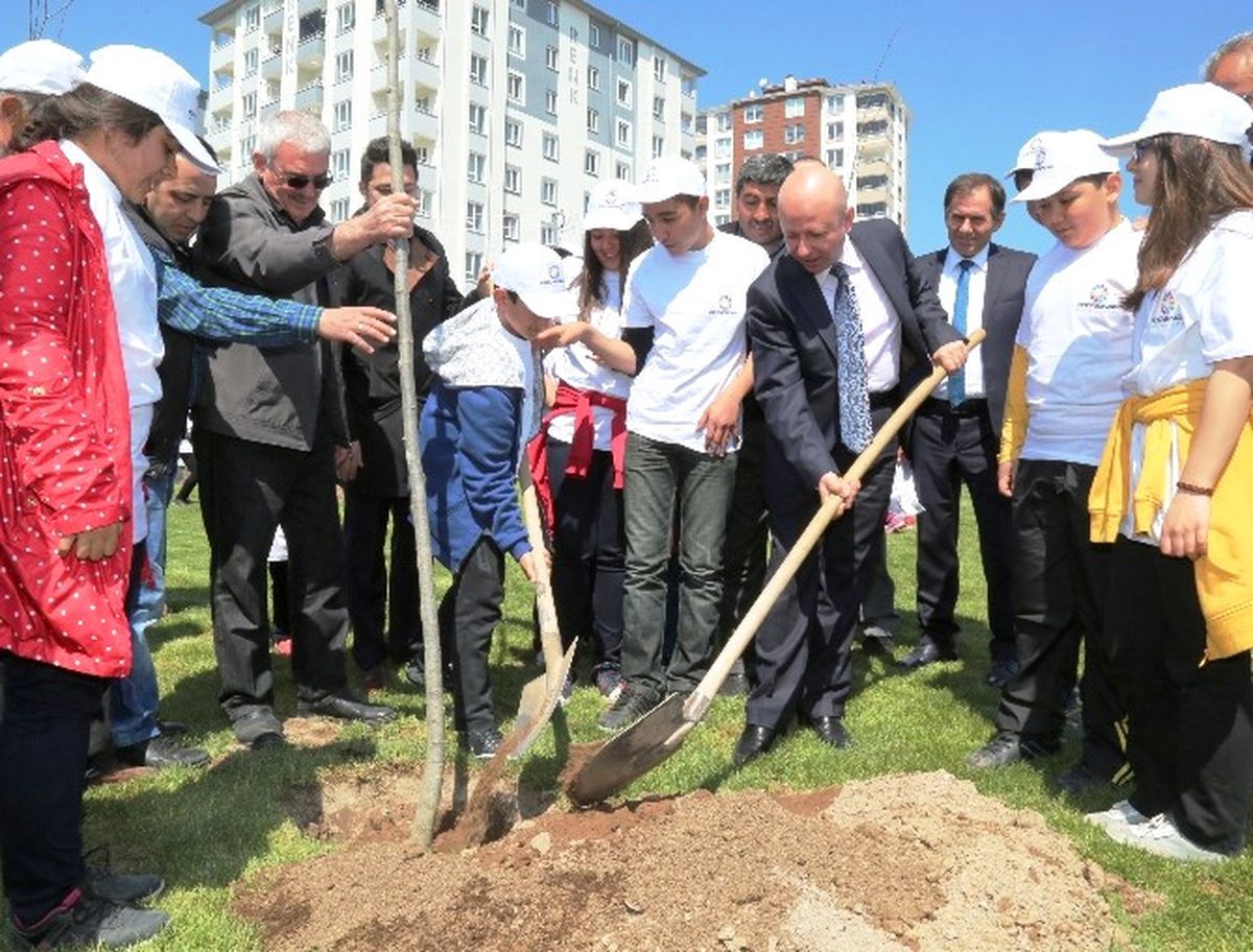 Çolakbayrakdar, "2015\'te 70 Bin Fidan Dikeceğiz"