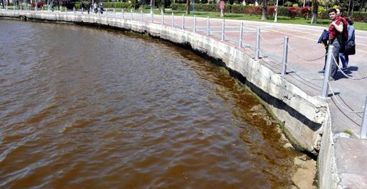 İzmit Körfezi'nde Deniz Kızardı, Kokudan Sahile Gidilemedi