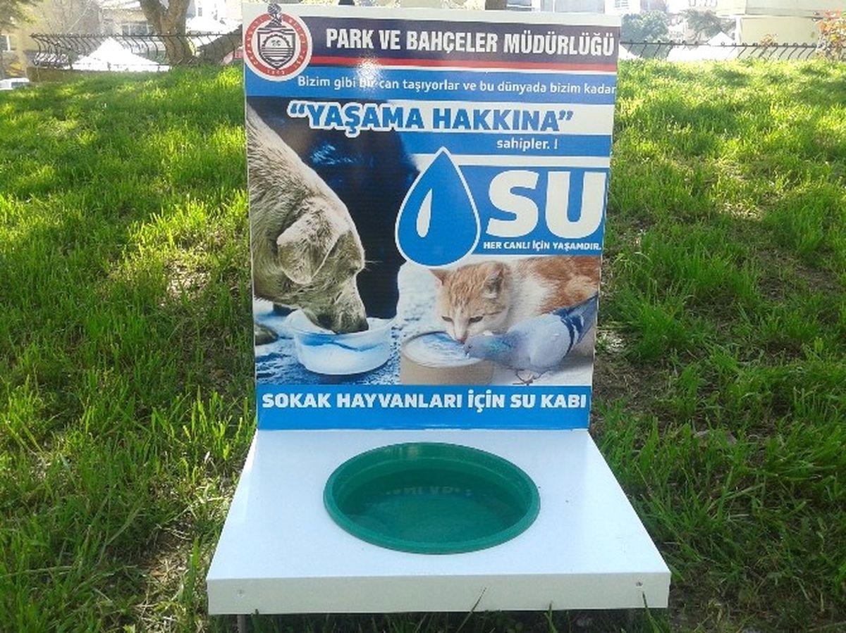 Orhangazi\'de Sokak Hayvanlarına Suluk