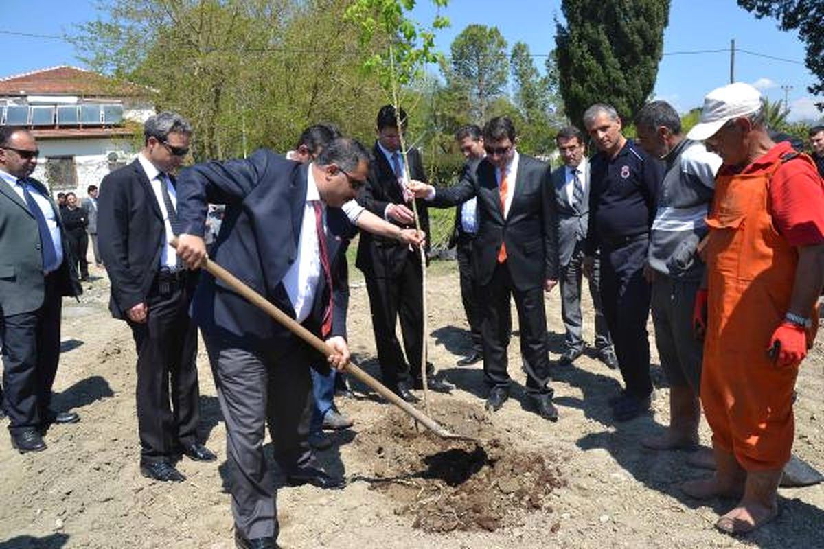 Şehit Savcı İçin Fidan Diktiler