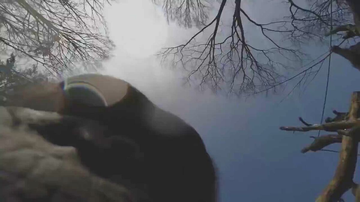 Şempanzelerin Uçan Bir Kamerayla Sınavı