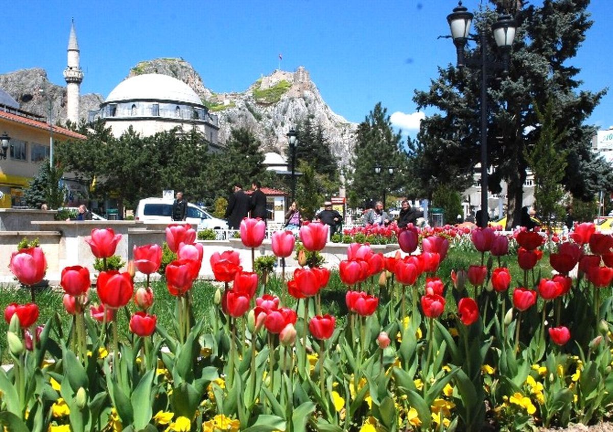 Tokat\'ı 77 Bin Lale Süslüyor