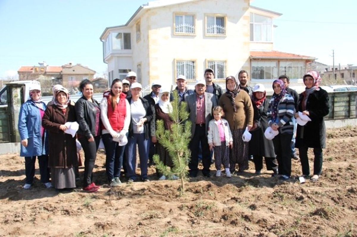 Uçhisarlı Bayanlar Fidan Dikti