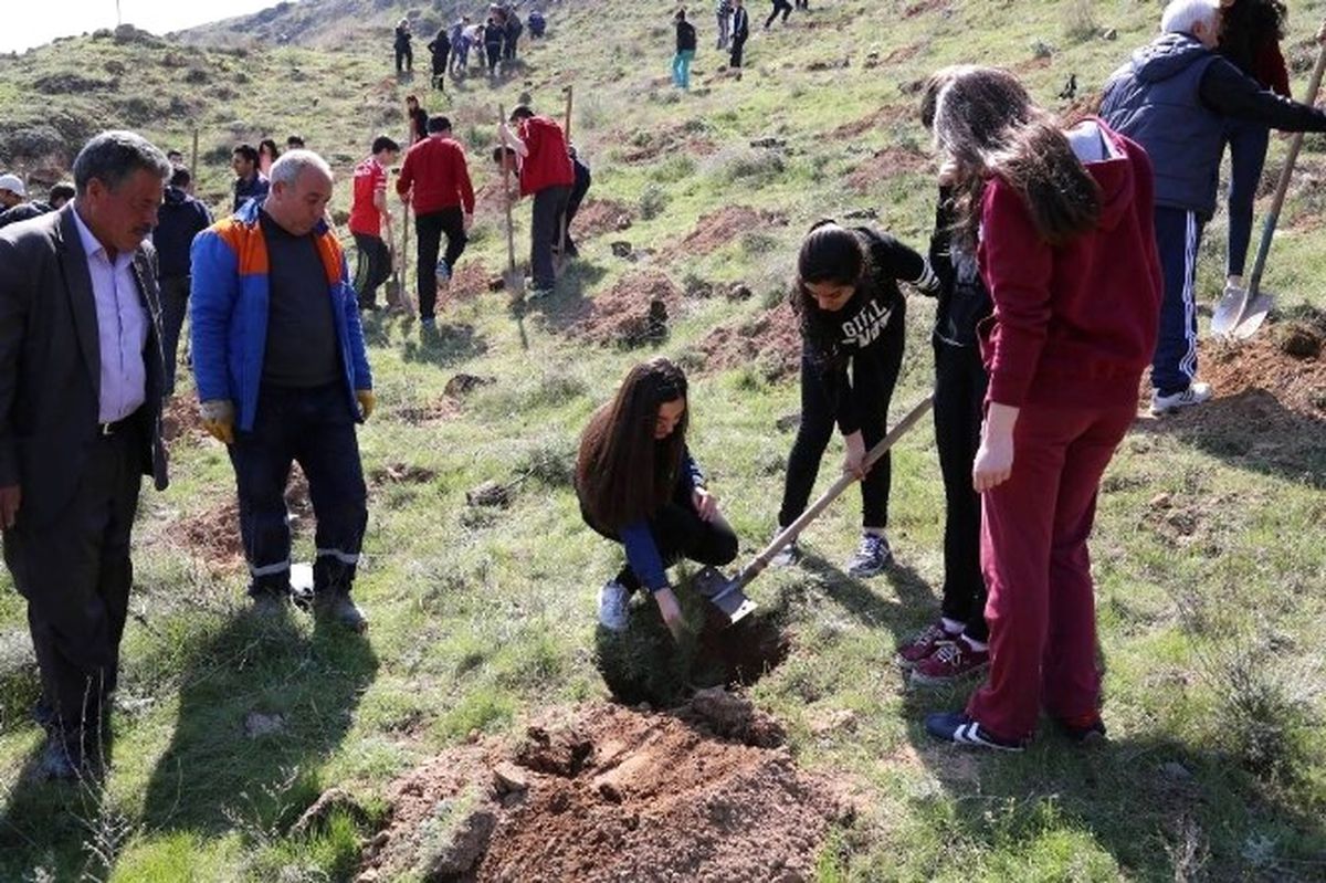 Yeşilyurt Mahallesi\'ne Öğrencilerin Katılımı ile 500 Adet Çam Fidanı Dikildi
