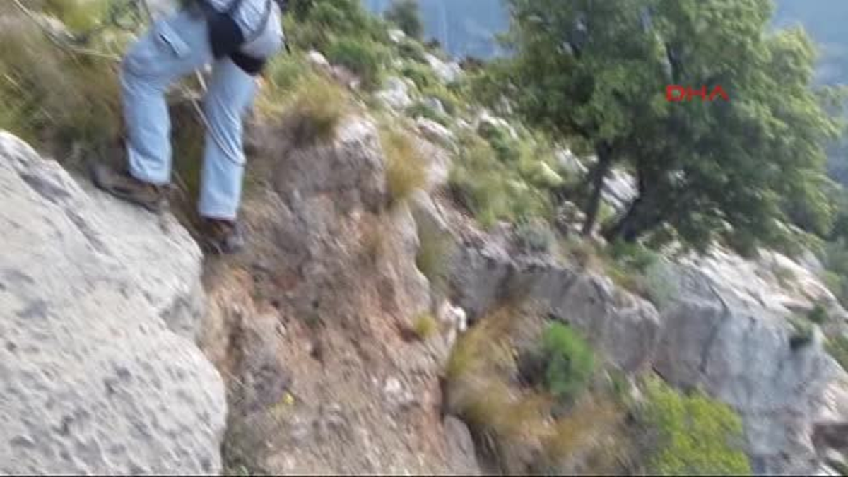 Fethiye Kelebekler Vadisi\'nde Mahsur Kalan Oğlağı Akut Kurtardı