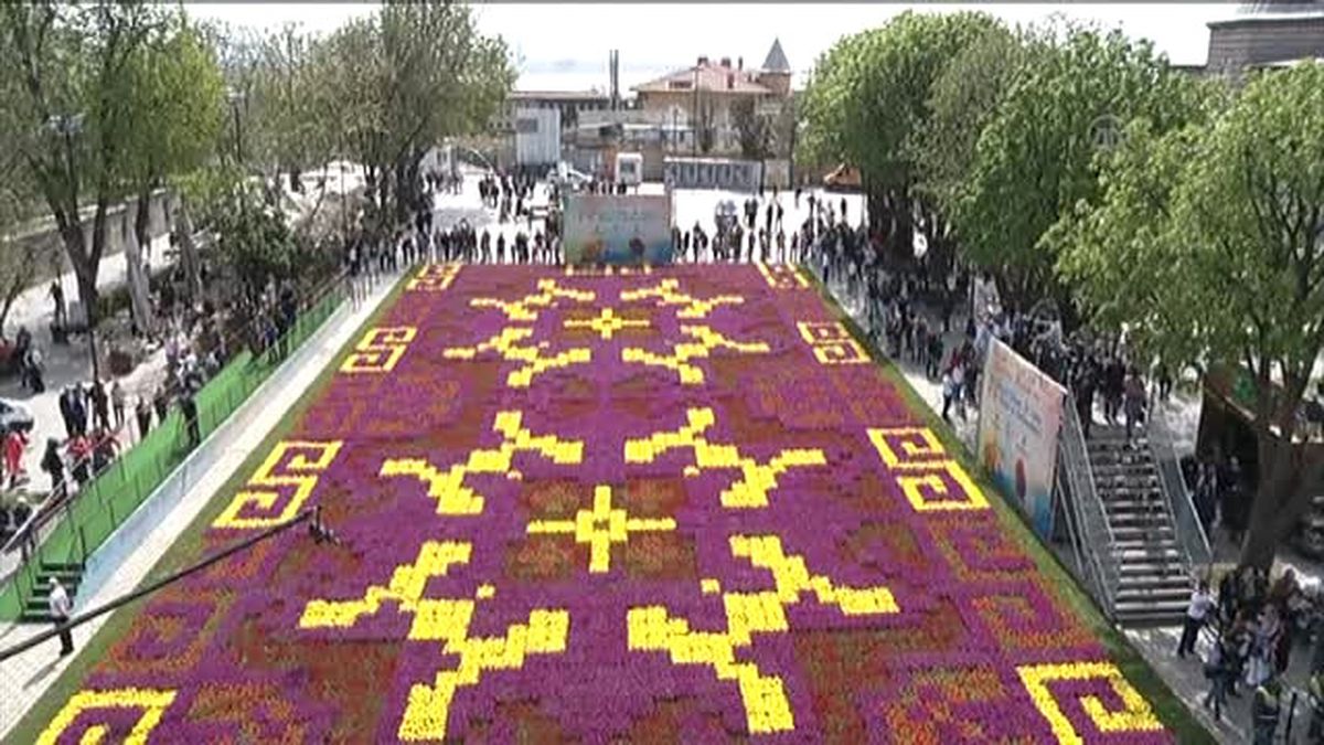 Sultanahmet Meydanı'na 545 Bin Laleden Halı Motifi