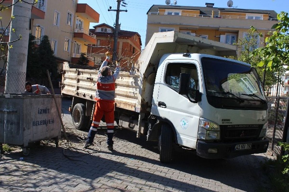 İzmit\'te Budanan Ağaç Dalları Toplanıyor
