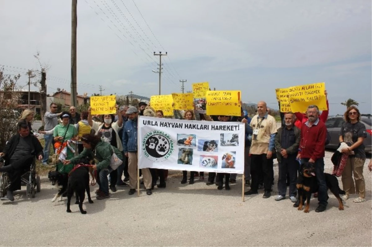 Urla\'da Hayvan Katliamı Protesto Edildi
