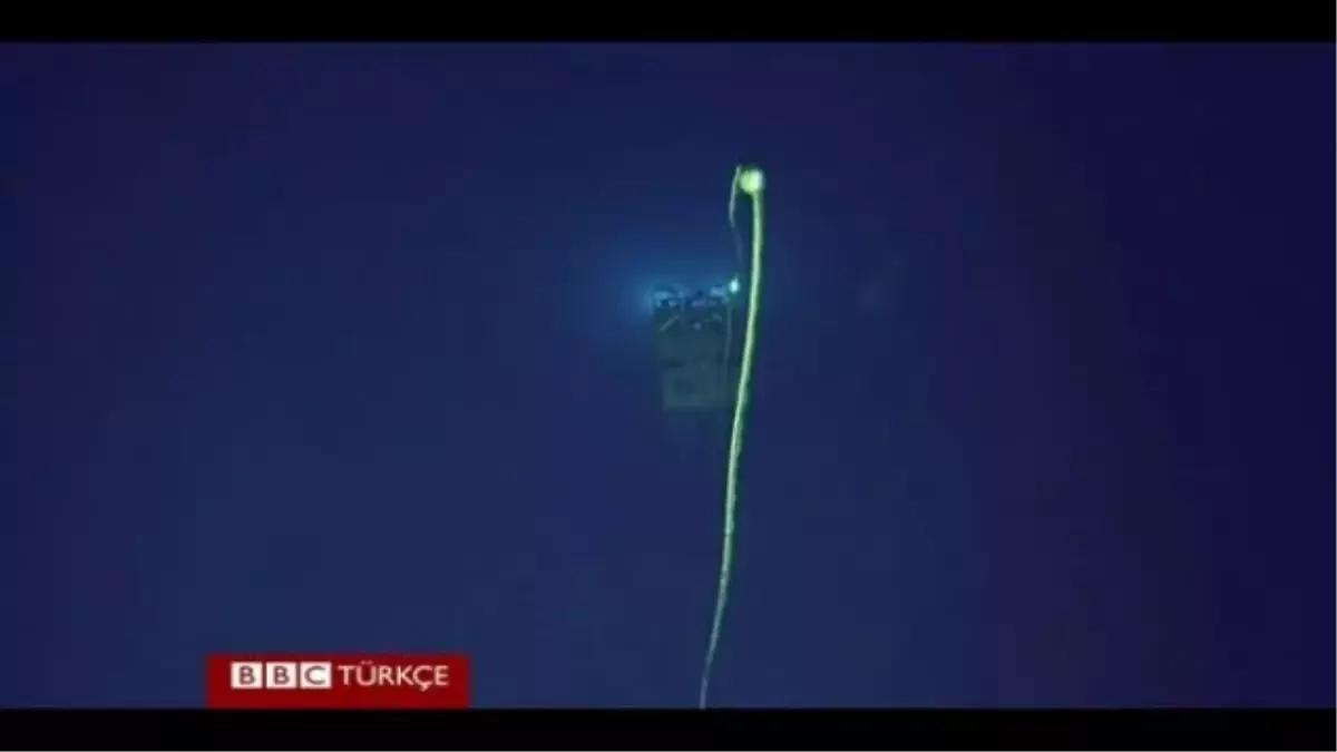 600 Metre Derinlikte 12 Metrelik Balinayla Karşı Karşıya