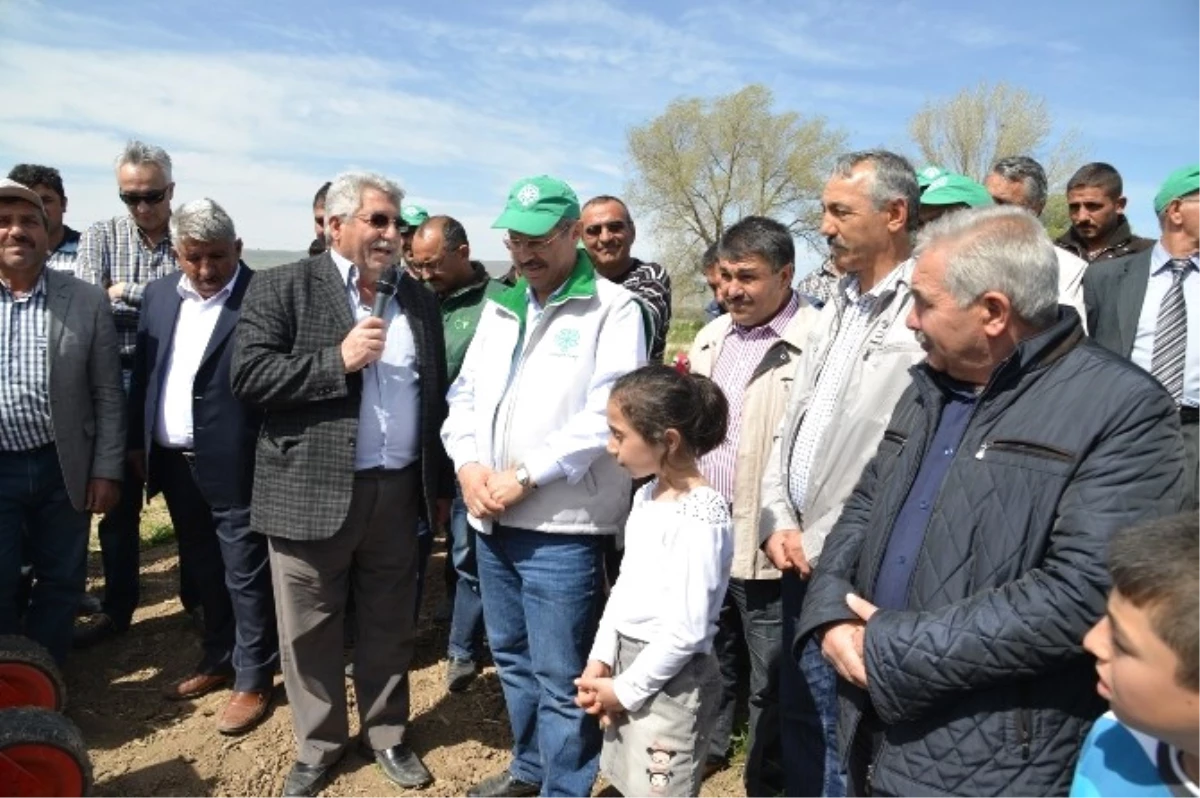 Kayseri Şeker Pancar Ekim Günleri Başladı